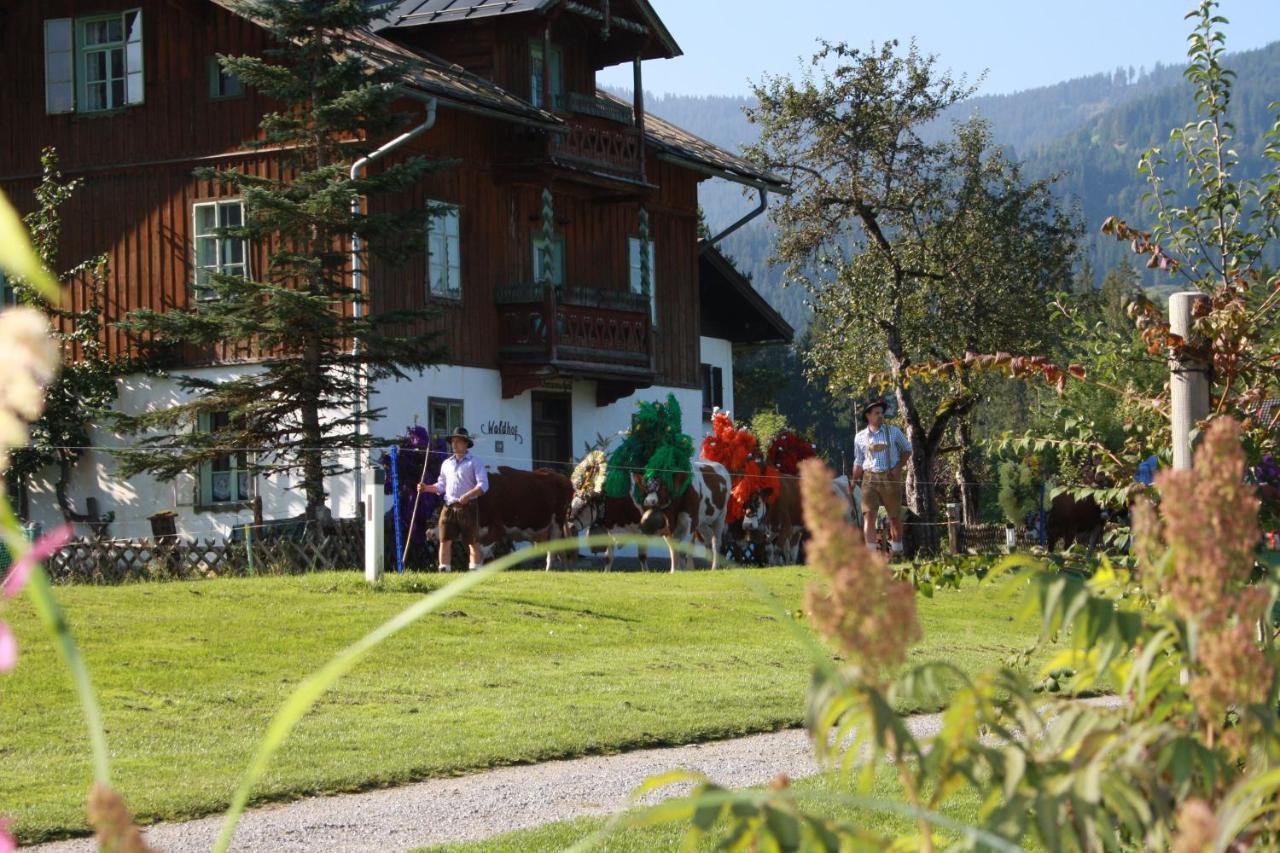 Gaestehaus Hoegerhof Hopfgarten im Brixental Exterior photo